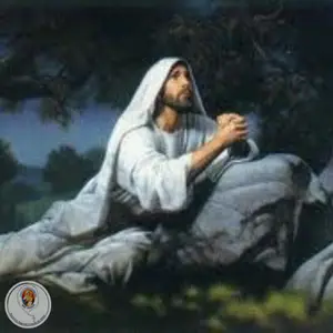 Contemplamos a Agonia de Jesus no Horto das Oliveiras quando Suou Sangue