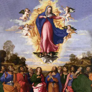 Contemplamos a Assunção Gloriosa de Nossa Senhora aos Céus
