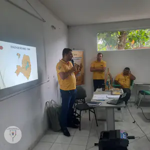 Reuniões de Formação